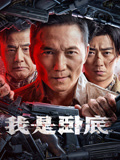 我是卧底海报